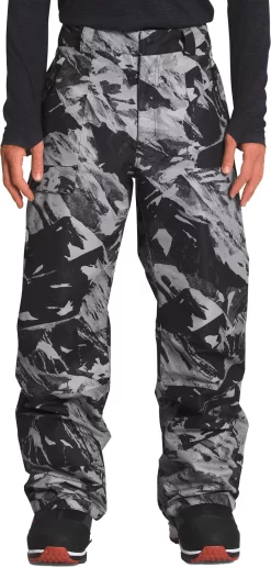 The North Face Men's Seymore Ski Pants