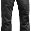 The North Face Women's Apex STH Snow Pants