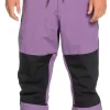 Quiksilver Men's Snow Down Pants -Sports store 22QUKMMSNWDWNPNTXMOU GRAPE COMPOTE